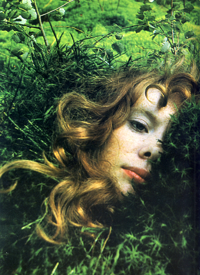 herbs that care for your skin harpers bazaar dinah april 1970