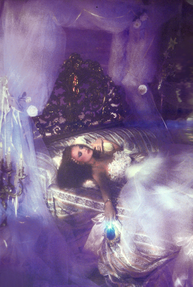 Sleeping Beauty by Rebecca Blake