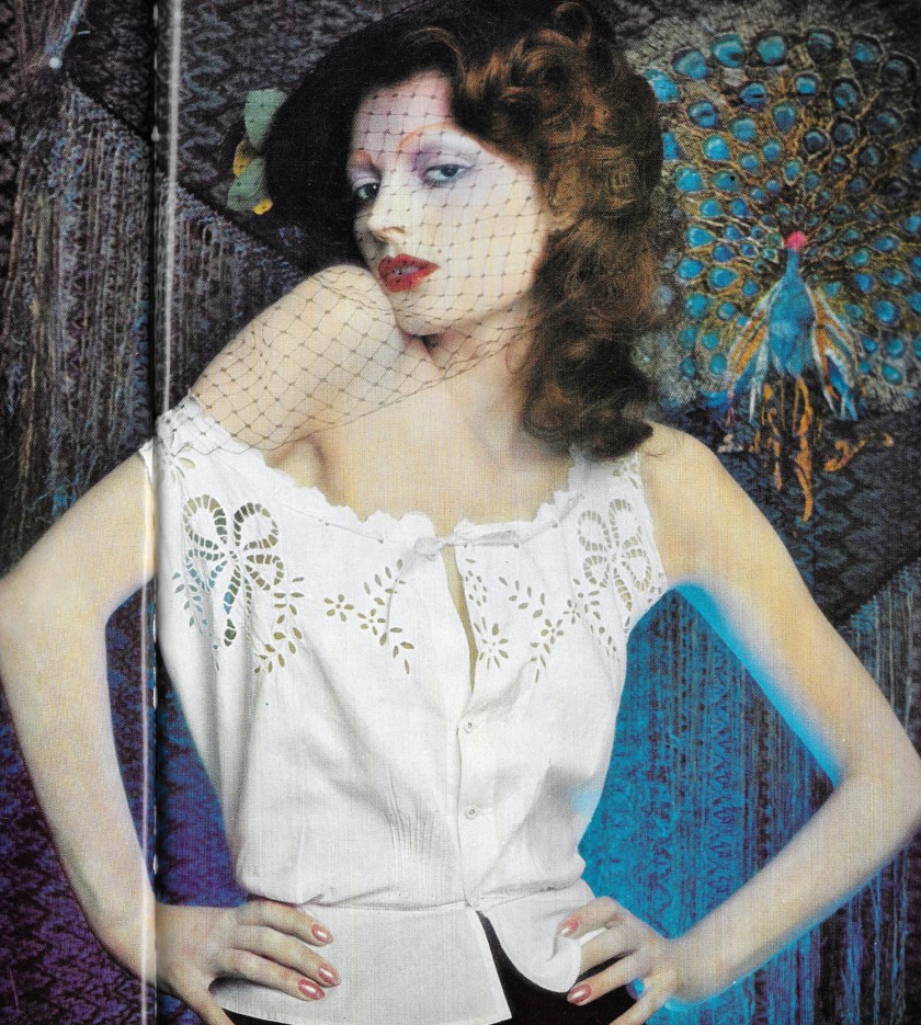 Painted Lady - Barry Lategan