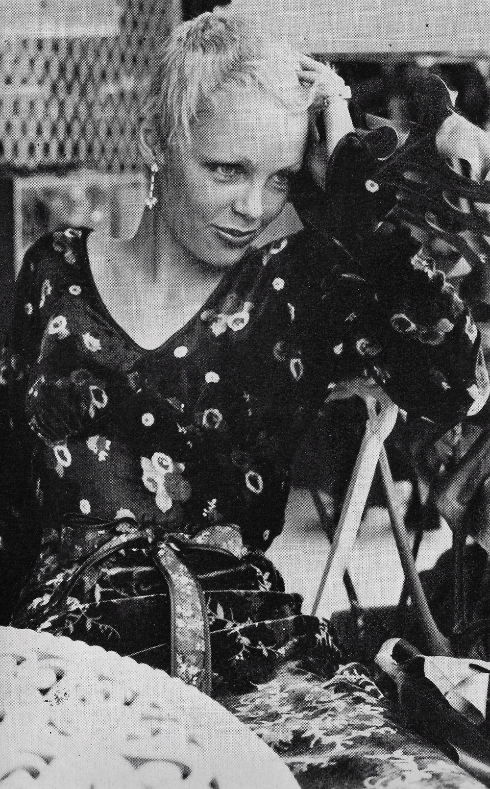 whats-new-alleycat-1