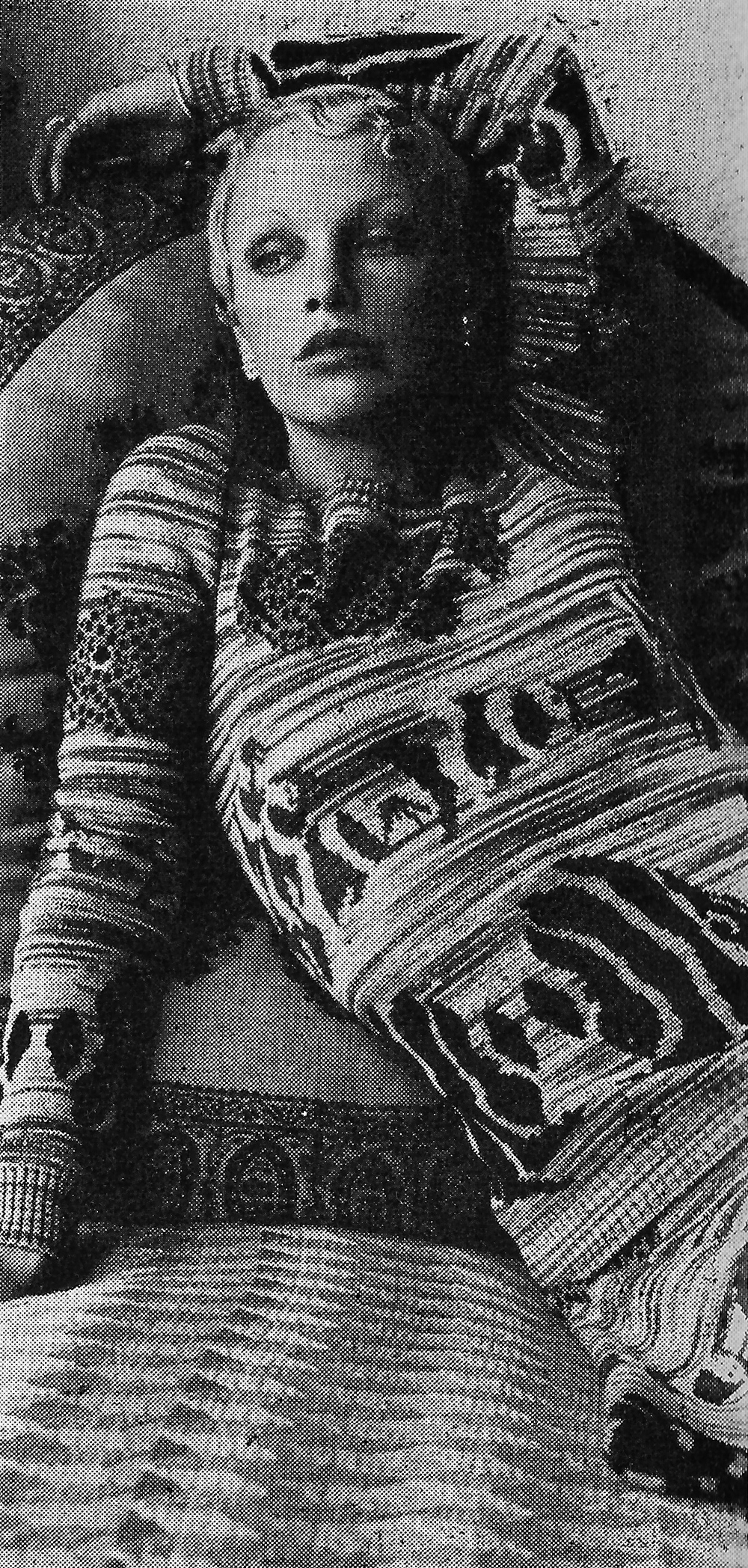 whats-new-alleycat-3