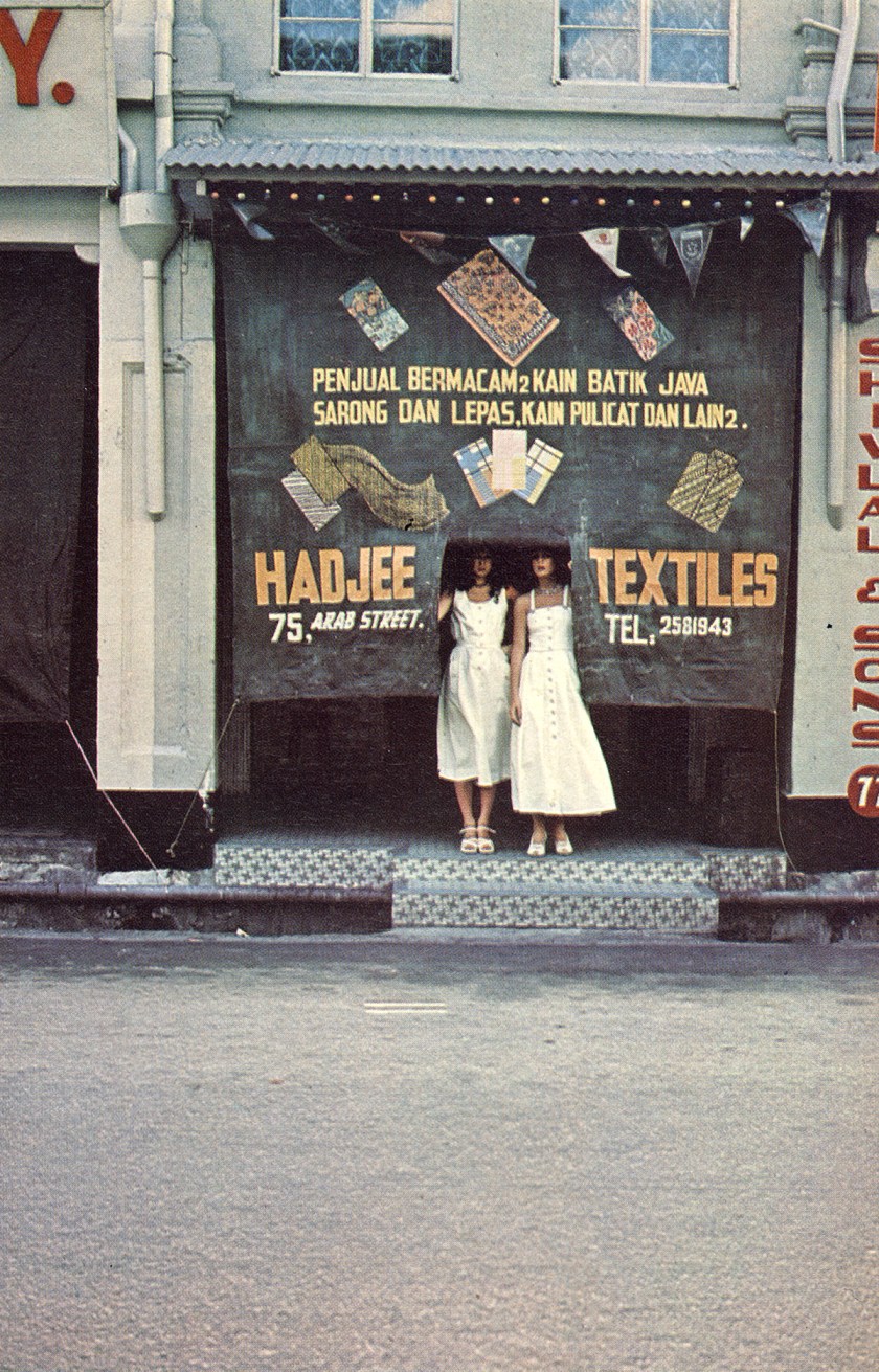 day trippers - peccinotti - 6